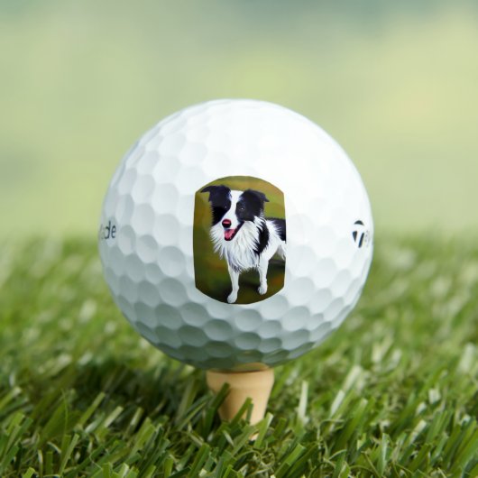 Balles De Golf avant JC 7 (T-shirt Insitu)