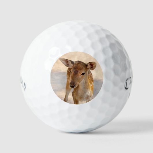 Balles De Golf Baby Deer (Recto)