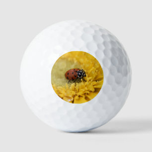 Balles De Golf Bague