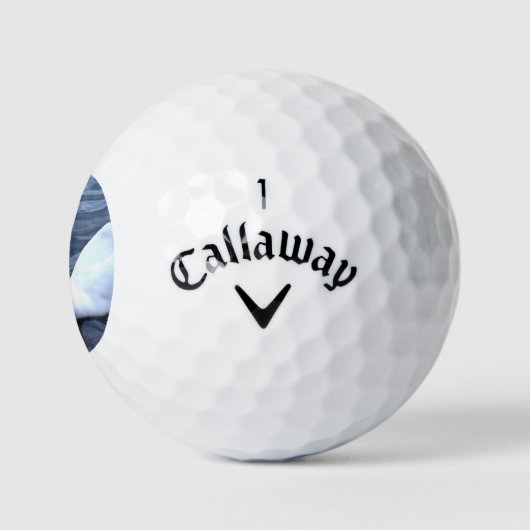 Balles De Golf Bal de golf White Swan (Logo)