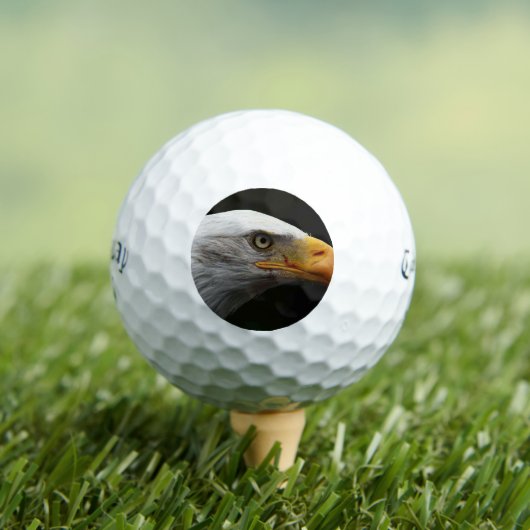Balles De Golf Bald Eagle css gbcna (T-shirt Insitu)