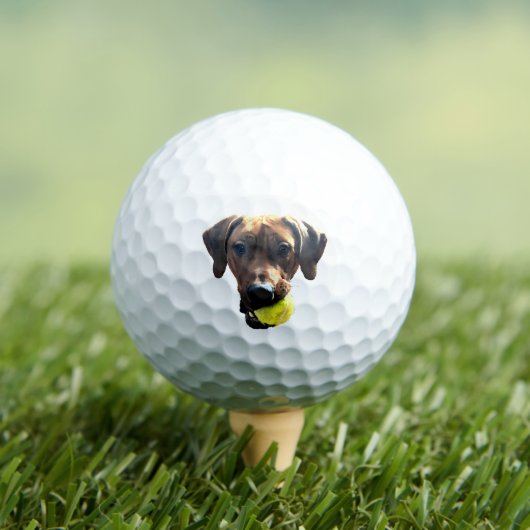Balles De Golf Ballons de golf Rhodesian Ridgeback (T-shirt Insitu)