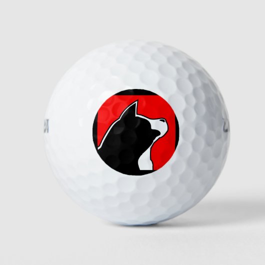 Balles De Golf Balls de golf MARS Akita (Devant)