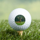 Balles De Golf Barasingha cerf (T-shirt Insitu)