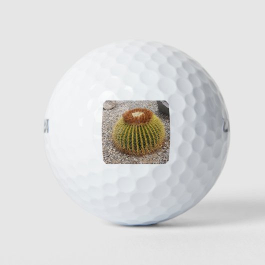 Balles De Golf Barrel Cactus (Devant)