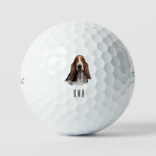 Balles De Golf Basset Hound (Recto)