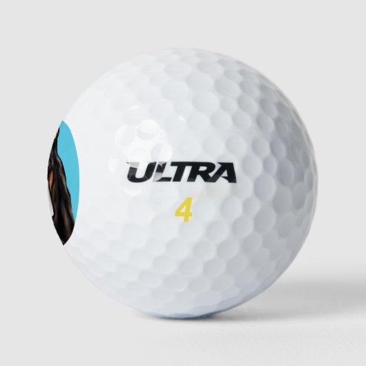 Balles De Golf Basset Hound (Logo)