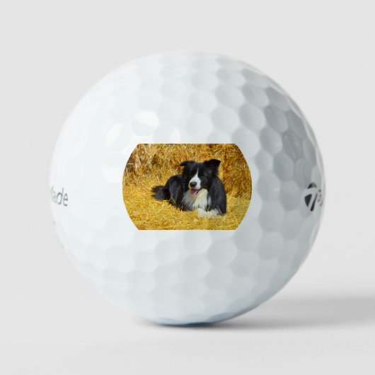Balles De Golf bc dans paille (Recto)