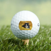 Balles De Golf bc dans paille (T-shirt Insitu)