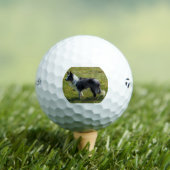Balles De Golf bc p 2 (T-shirt Insitu)