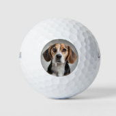 Balles De Golf Beagle (Devant)