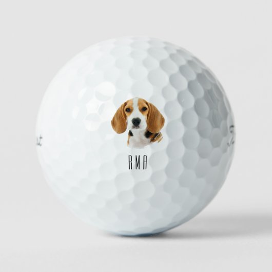 Balles De Golf Beagle (Recto)