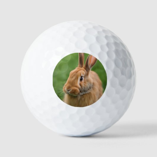 Balles De Golf Beau lapin (Recto)