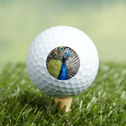 Balles De Golf Beau Peacock (T-shirt Insitu)