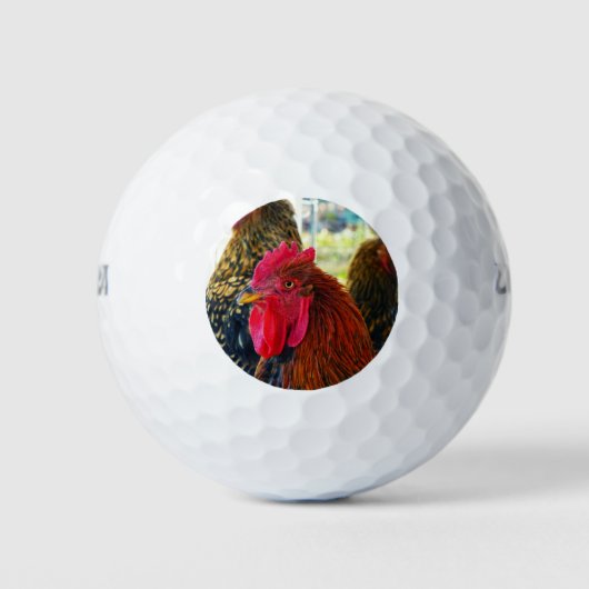 Balles De Golf Beau Rooster (Devant)