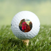 Balles De Golf Beau Rooster (T-shirt Insitu)
