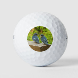 Balles De Golf Bébé Grange hirondelle Nature Oiseau Photographie