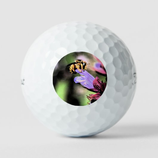 Balles De Golf Bee et Fleur tpv1 gbcna (Recto)