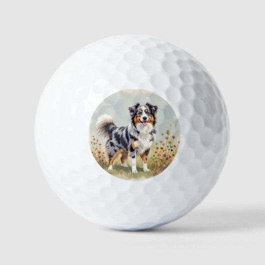 Balles De Golf Berger Australien Merle Queue Longue (Recto)