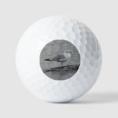 Balles De Golf Big seagull (Recto)