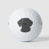 Balles De Golf Black Labrador (Devant)