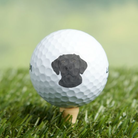 Balles De Golf Black Labrador (T-shirt Insitu)