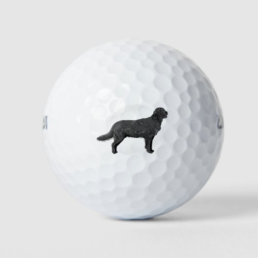 Balles De Golf Black Labrador - Chien de chasse (Devant)