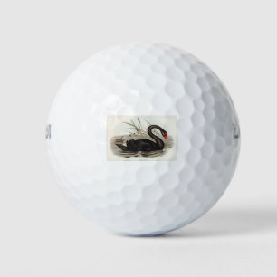 Balles De Golf Black Swan Vintage