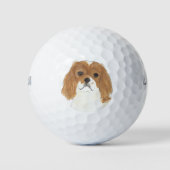 Balles De Golf Blenheim Cavalier King Charles Spaniel (Devant)