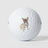 Balles De Golf Bleu Fawn Français Bulldog (Devant)