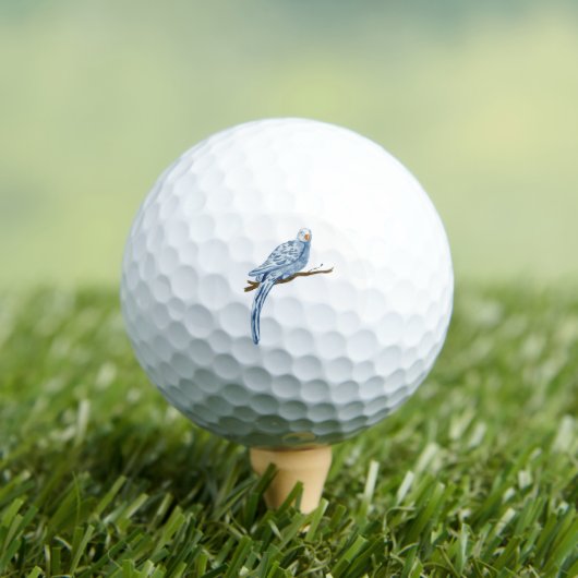 Balles De Golf Blue Bird Golf Ball (T-shirt Insitu)