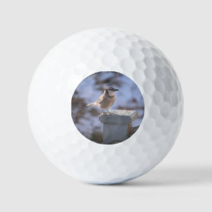 Balles De Golf Blue Jay