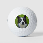 Balles De Golf Bordure Collie (Devant)