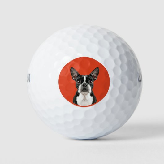 Balles De Golf Boston Terrier Pet Thème (Devant)