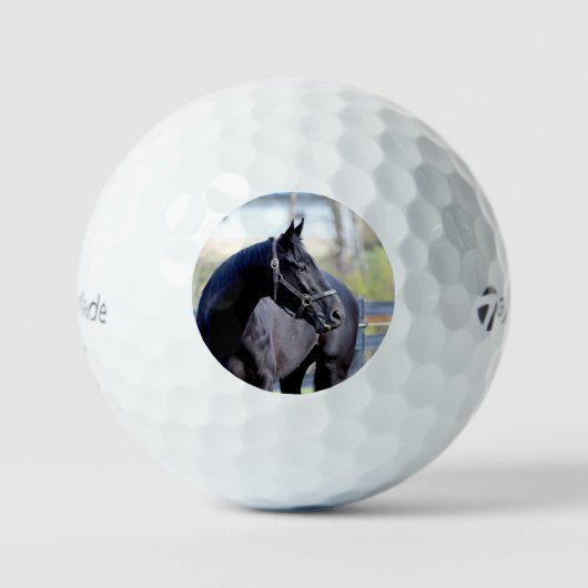 Balles De Golf Boule de golf Thoroughbred (Recto)