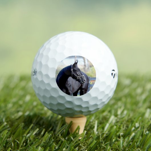 Balles De Golf Boule de golf Thoroughbred (T-shirt Insitu)