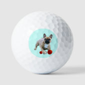 Balles de golf bouledogue français (Recto)