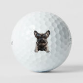 Balles De Golf Bouledogue Français (Recto)