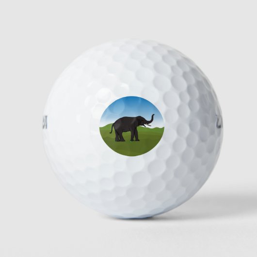 Balles De Golf Boules de golf (Devant)