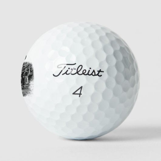 Balles De Golf Boules de golf Titleist (Logo)