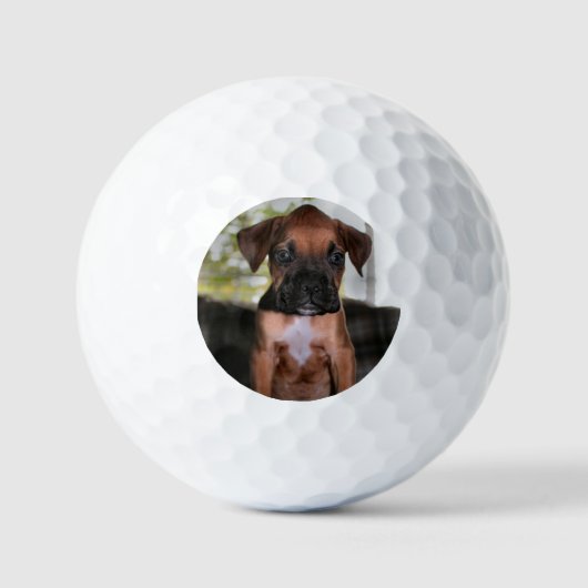Balles De Golf Boxer bébé (Recto)
