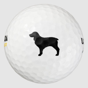 Balles De Golf Boykin Spaniel Silhouette