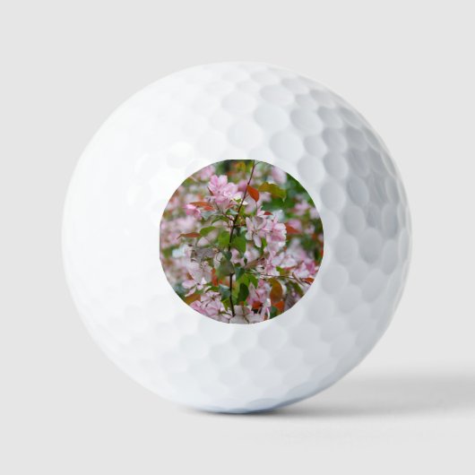 Balles De Golf Branche délicate avec fleurs pommier (Recto)