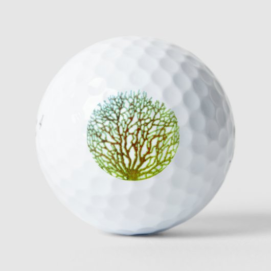 BALLES DE GOLF BRIDGESTONE e6  (Devant)