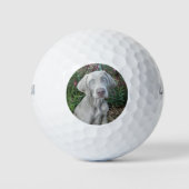 Balles De Golf Brooklyn le chien Weimaraner - Balls de golf (Devant)
