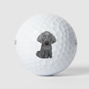 Balles De Golf Brooklyn le chien Weinaraner - Balls de golf