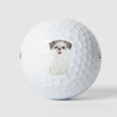 Balles De Golf Brown et blanc Shih Tzu (Devant)