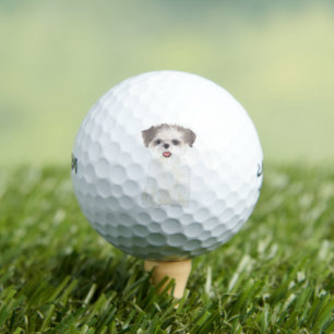 Balles De Golf Brown et blanc Shih Tzu