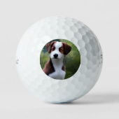Balles De Golf Bruce The Border Collie Puppy, Golf Balls (Recto)