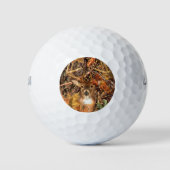 Balles De Golf Buck in Fall Camo White Tail Deer (Devant)